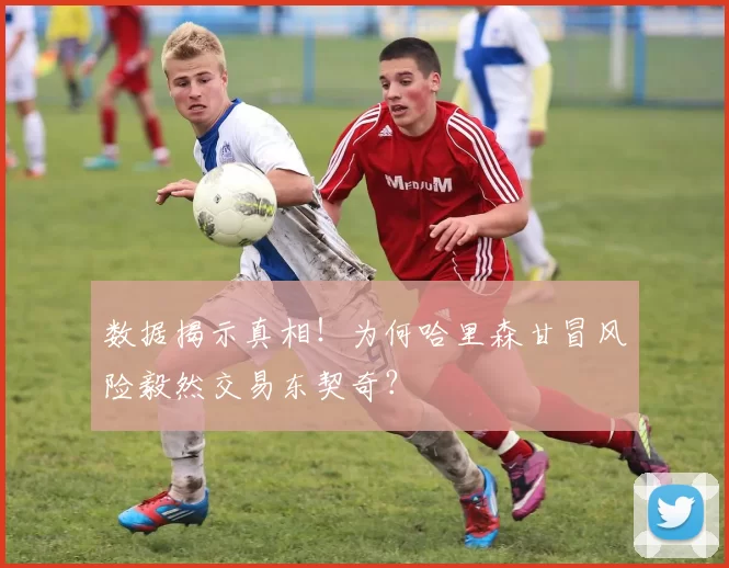 数据揭示真相！为何哈里森甘冒风险毅然交易东契奇？